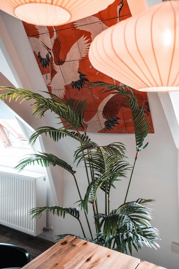 Casa Coral - a hidden gem for families Groningen Exterior foto